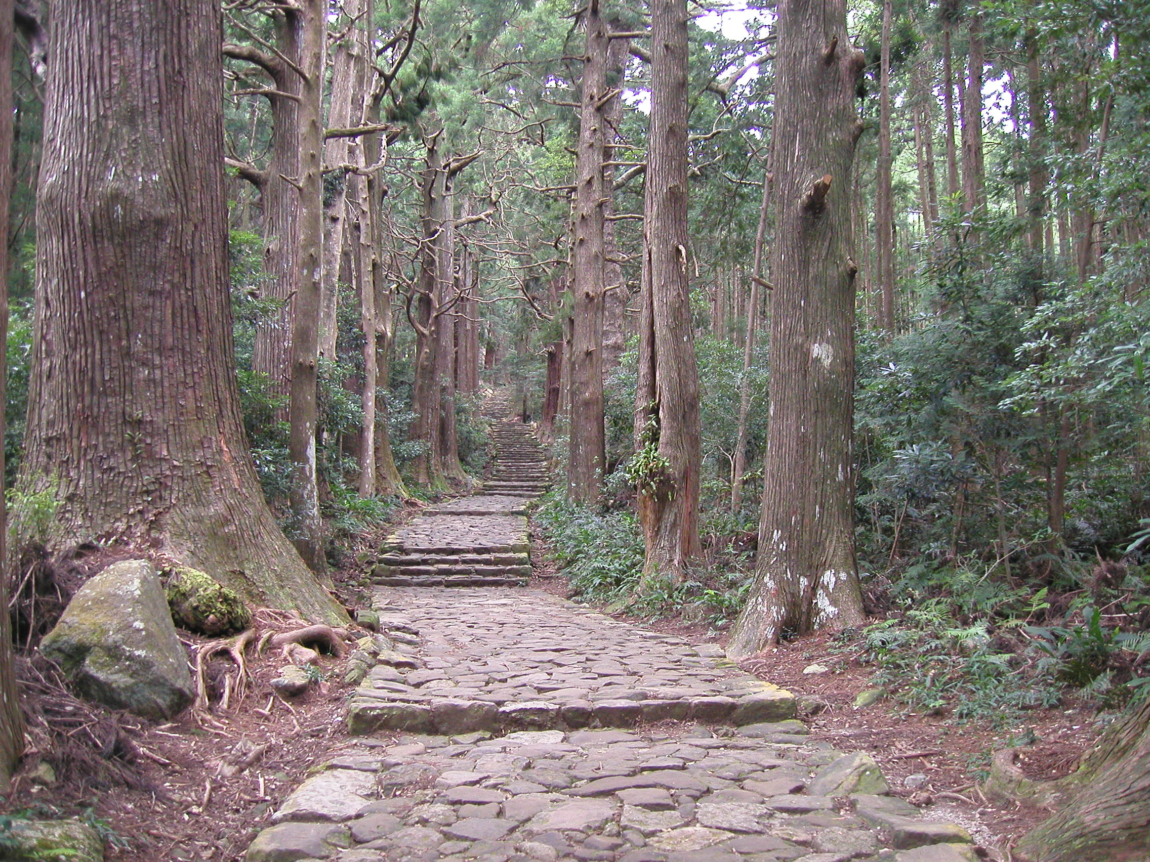 Kumano Pilgrimage